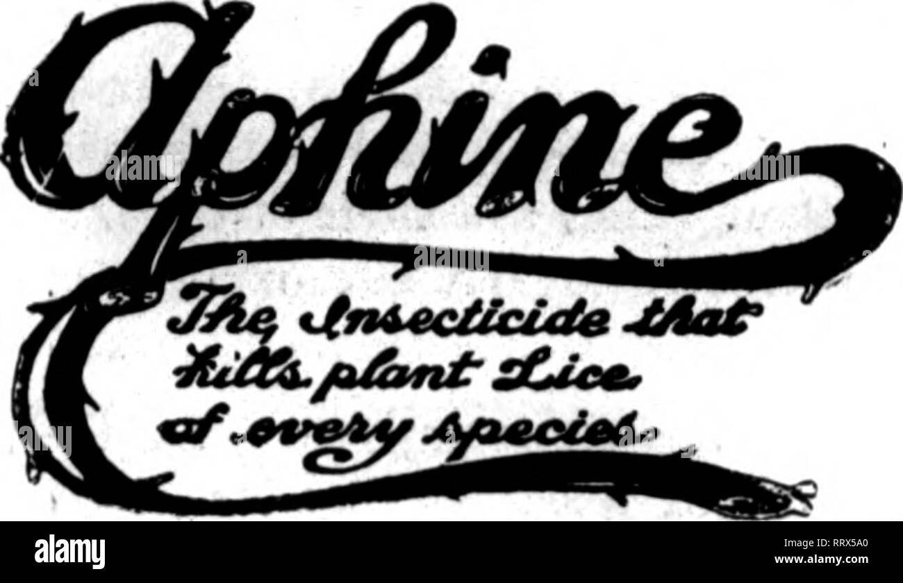 . Les fleuristes [microforme] examen. La floriculture. NOPoisgN Onaranteed nnder l'Insecticide, 1910 N° de série 321 Enregistrez vos plantes et arbres. La Jast amincit pour les émissions et l'utilisation à l'extérieur. Cochenille détruit-, brun et blanc Échelle, thrips, araignée rouge, noir et vert Fly, mites, fourmis, etc., sans dommage aux plantes et sans odeur. Utilisés selon les articles notre Insecticide standard empêchera les ravages sur vos cultures par les insectes. Poisoncms narmless et non à l'utilisateur et de l'usine. Les semenciers de premier plan et des fleuristes ont utilisé avec des résultats merveilleux. Détruit les poux dans les poulaillers, les puces sur les chiens et al Banque D'Images