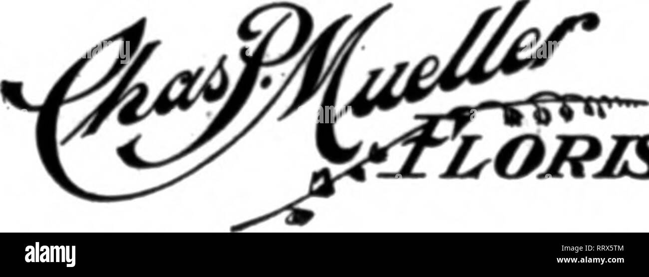 . Les fleuristes [microforme] examen. La floriculture. *" Alors ?* tov^ 41 NORD PHELPS STREET Tonseth Co Floral&Lt ; 188 6ème rue GROWERS u4 DÉTAILLANTS Pour WISCONSIN Livraison de fleurs "Maison" Qot en contact avec J. E. GOLDMAN JONES FREDERICKS Sheboygan, WIA. Portland, Ore., ROSAIA BROS. Les fleuristes et décorateurs 1003 Third Avenue, Seattle, de lavage.. WICHITA, KANSAS Producteur de choix de fleurs coupées. Membre de Florlets» AseoclatloP Livraison Télégraphe MEDFORD MEDPORD OREOON,SERRES . Nous pouvons remplir vos commandes pour Sonthern ana de l'Oregon, dans le Nord de la Californie. Mentionner le Reiiew quand yon écrire.. Veuillez noter que ces i Banque D'Images