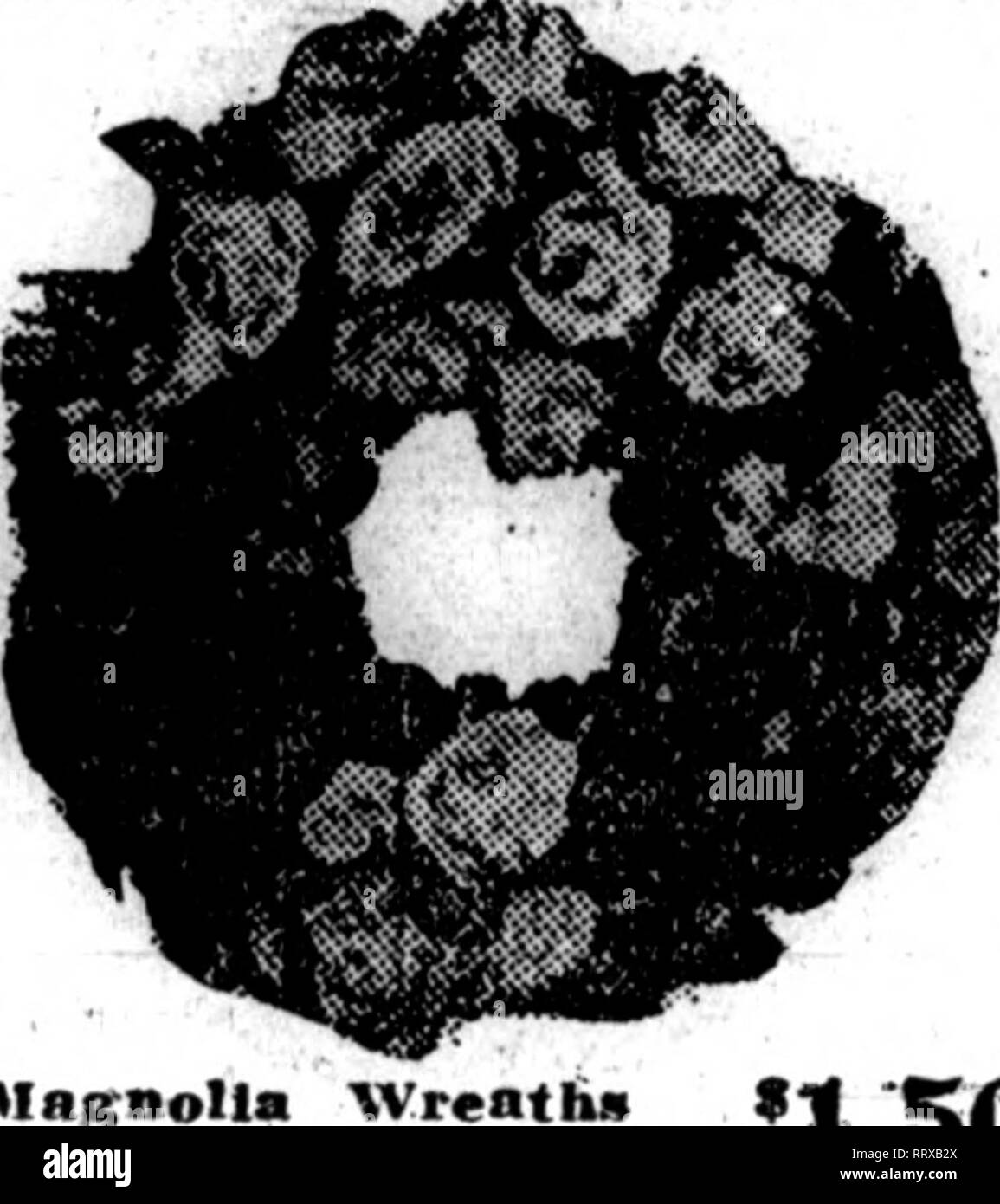 . Les fleuristes [microforme] examen. La floriculture. rMemorial Bartennann Couronnes jour'a skillad CTinnwl les concepteurs ont fait des préparatifs pour une quantité de beau- tUUL à prix modéré mais des couronnes.  ?  ? ?Lliw thouMsdi pcoDies croître de sélectionner. Fleurs ? ?C b* Wft e^thouModi- il nous faudra d'eux mo&Lt ;) si yrioHl. Pourquoi ne pas les avoir bien^d'arran. encadré. dalitund ihape de bonne. Il Im llian ewU ac- ufcrior "t l'oodi (• ? : nie. »^ ^S^^Phsoes où iSl mumai QuaUty est en vedette. Ouest Téléphone 78 ou 179 Central. Nous de- partout, et si la charge de- siretL" un tel appel ne vous restera plus qu'à b Banque D'Images