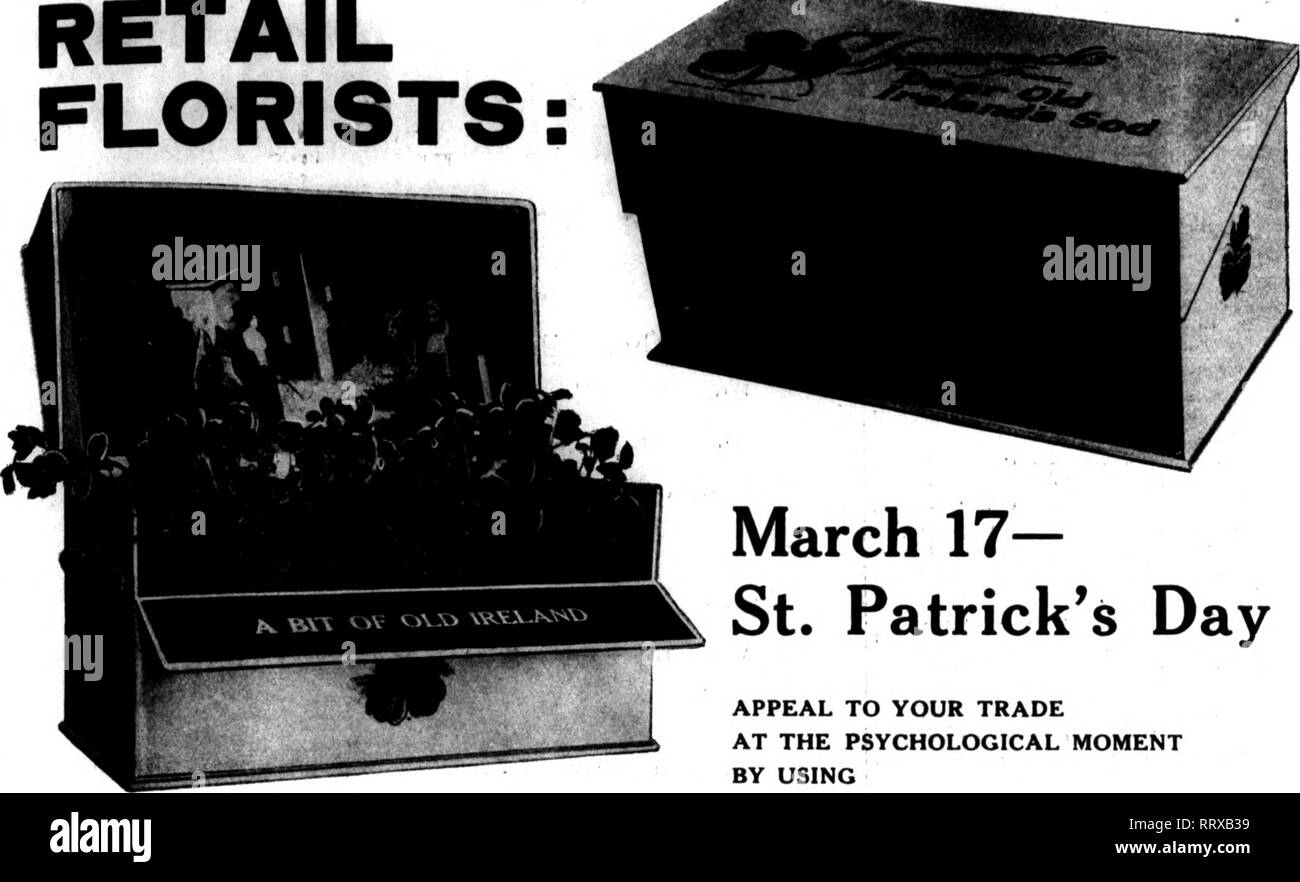 . Les fleuristes [microforme] examen. La floriculture. MAKCii ». 1"13. L'examen pour fleuristes FLEURISTES AU DÉTAIL : 39. 17 mars- le jour de la Saint Patrick APPEL À VOTRE COMMERCE AU MOMENT PSYCHOLOGIQUE À L'aide de la boîte de Shamrock Hughes 4t UN PEU DE VIEILLE IRLANDE" 5)4 pouces de long, 3 pouces de large, 3 cm de profondeur. Deux compartiments pour 2 pouces Shamrock plantes. Scène-paysage irlandais le château de Blarney-sur couverture intérieure. fl un souvenir approprié, conçu par Horace R. Hughes, le fleuriste de Chicago, pour les sociétés de l'Irlande, le dîner des faveurs ou toute partie étant donné le jour de la Saint-Patrick,-une journée de célébration universelle-salué par toutes les occasions spéciales. 9 Di Banque D'Images