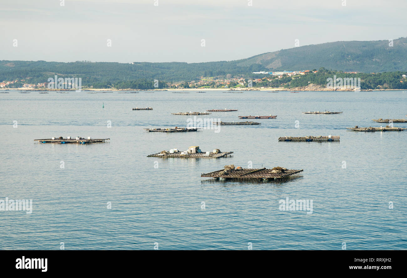 Moulières appelé bateas. Paysage marin. Rias Baixas, en Galice, Espagne Banque D'Images