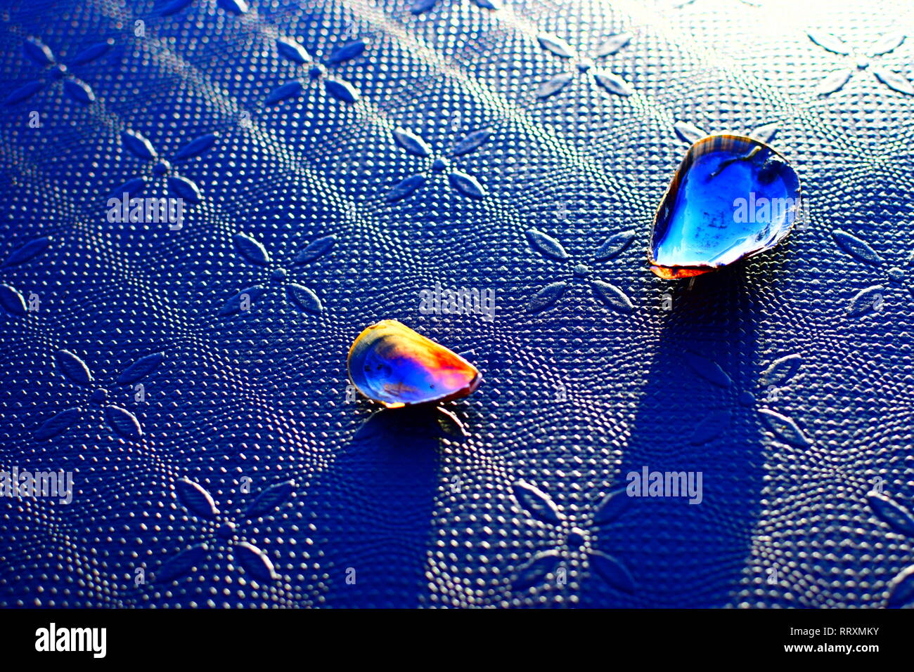 Le nouveau tapis de yoga à la terre noire avec des motifs dans le caoutchouc, tourné pendant une forte lumière du soleil à la plage par la mer Banque D'Images