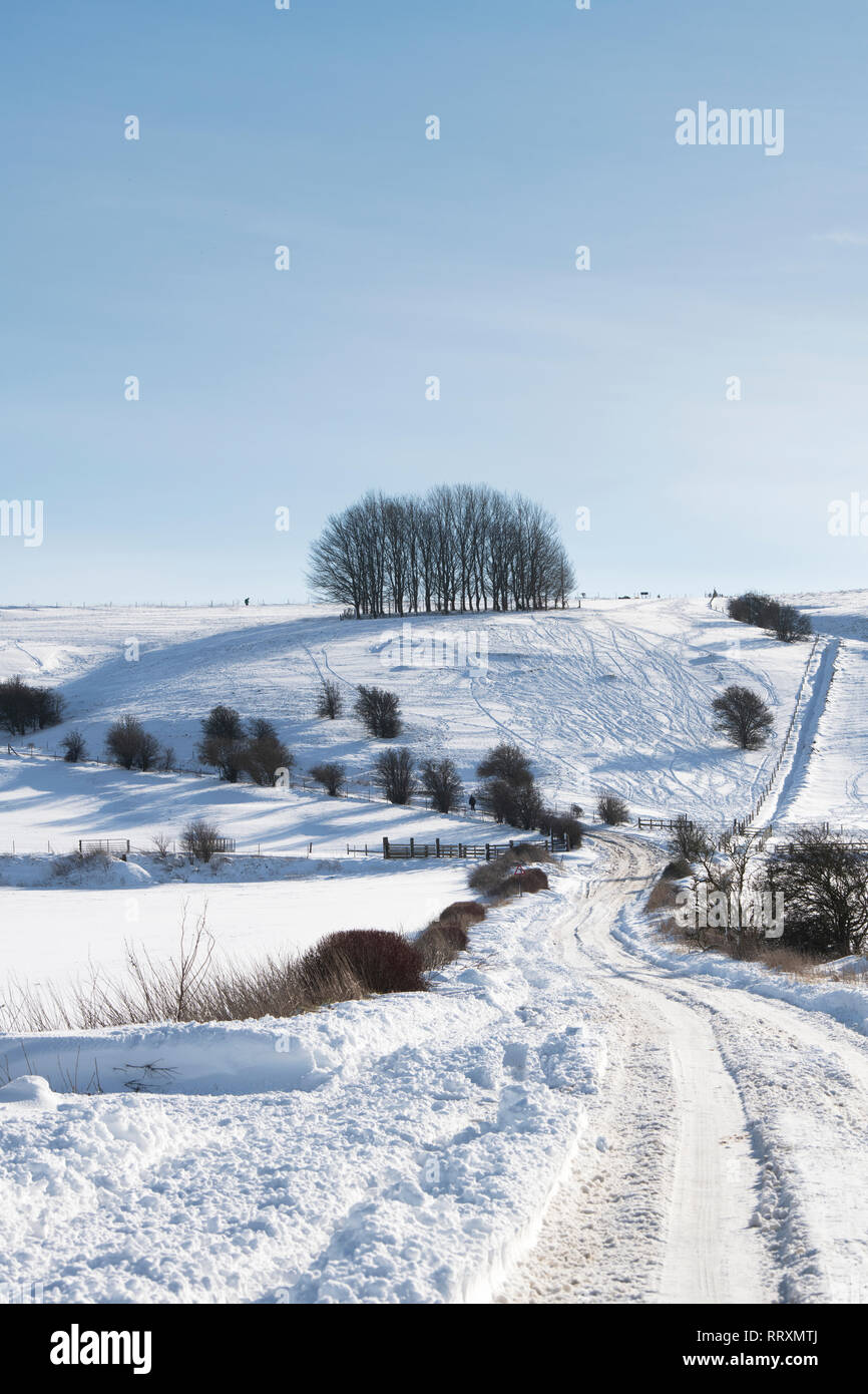 La neige a couvert Hackpen Hill dans la campagne du Wiltshire. Vaste Hinton, Wiltshire, Angleterre Banque D'Images