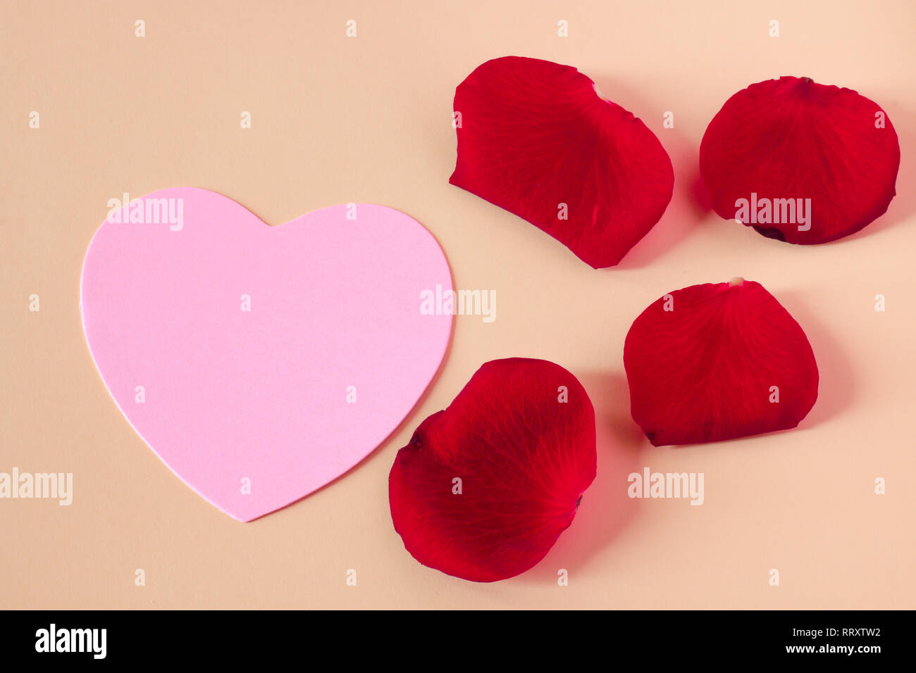 Coeur rose avec pétales rouges Banque D'Images
