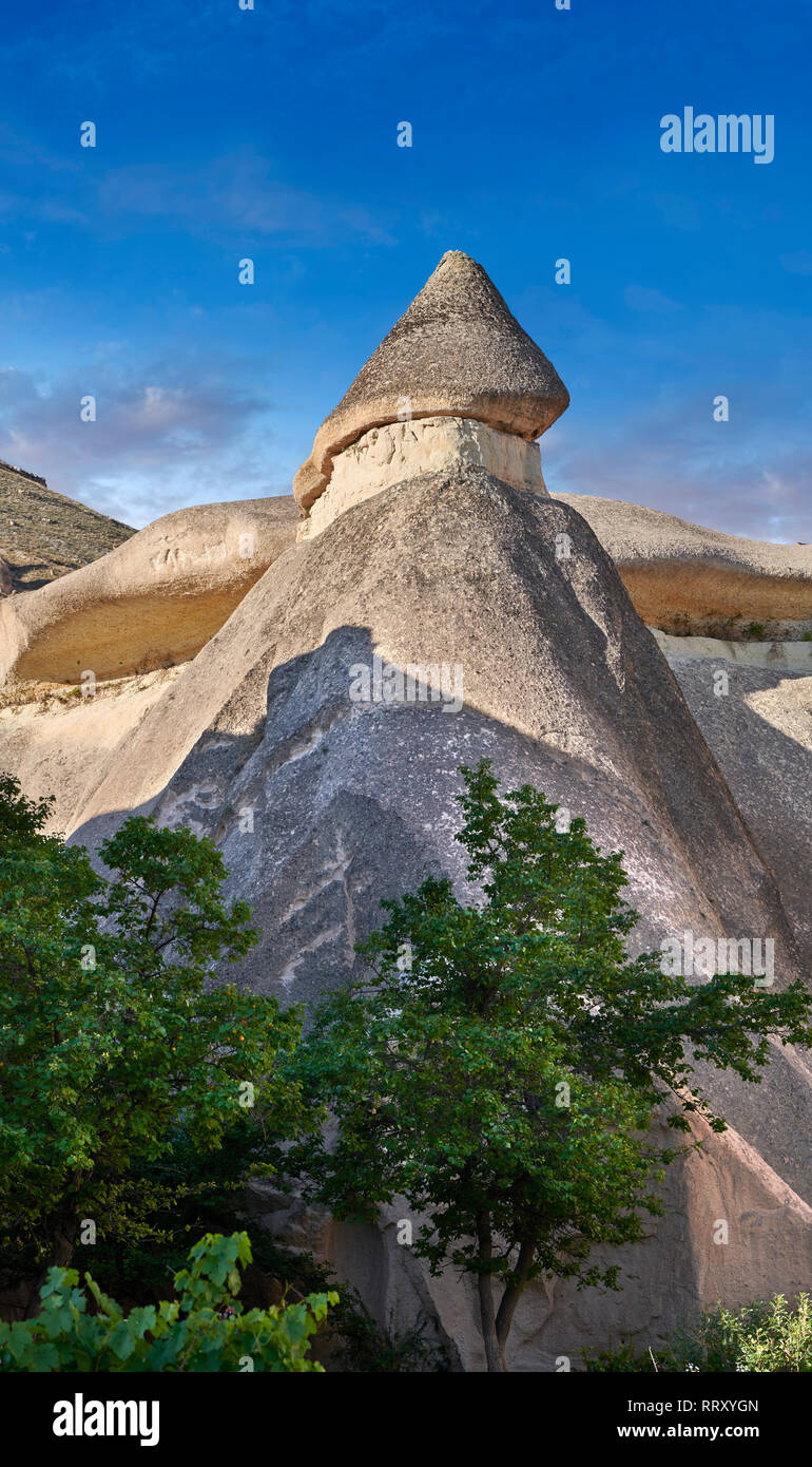Photos et images de la cheminée de fées des formations rocheuses et des rochers des "Pasaba Valley" près de Göreme, Cappadoce, Nevsehir, Turquie Banque D'Images