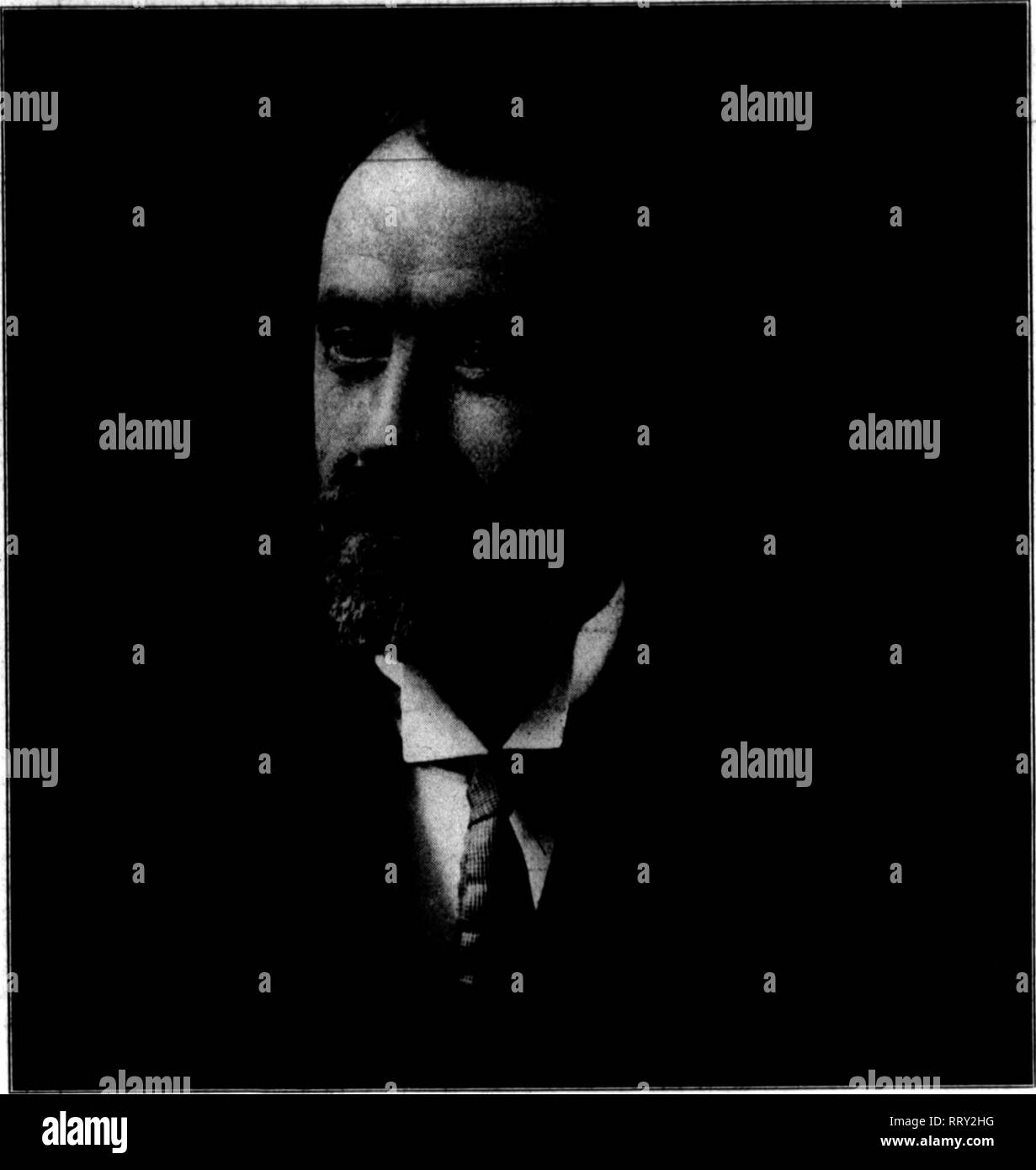 Hydrocyanic Photos Hydrocyanic Images Alamy