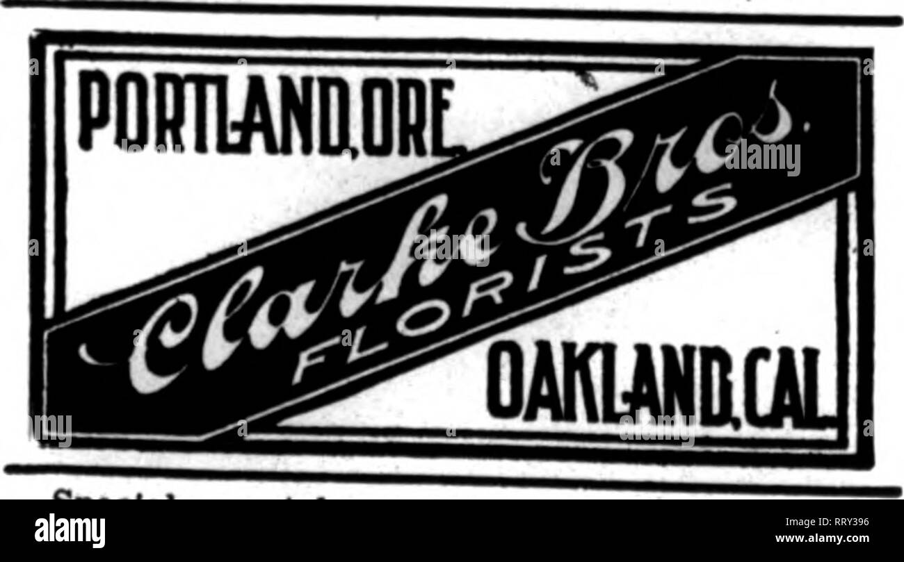 . Les fleuristes [microforme] examen. La floriculture.  ;&Amp ; LEADIHO rLnRIS'l[g. Clevelaiifl RICHMOND. VA. L'Hammond Company, Inc Laadlns Fiorlats 109 EAST BROAD STREET J. W. WOLTERS 627 South Hill Straat LOS ANGELES, CAI. Fleurs de haut grade ou de fleurs livrés n'importe où dans l'ouest. Satisfaction garantie. Discomit commerce habituel. Pas de commandes acceptées à partir de tiers inconnus, à moins que l'argent est télégraphié ou joint à la vente par correspondance. 84S CARBONEj Boylston St., BOSTON Mcakcrriorists Tdecripli AssodatlM'Livraison Il Livingston Seed Co. les fleuristes, COUVRIR TOUS LES POINTS DE L'OHIO 114 High Street, N., COLUHBUS OfflO. S Banque D'Images