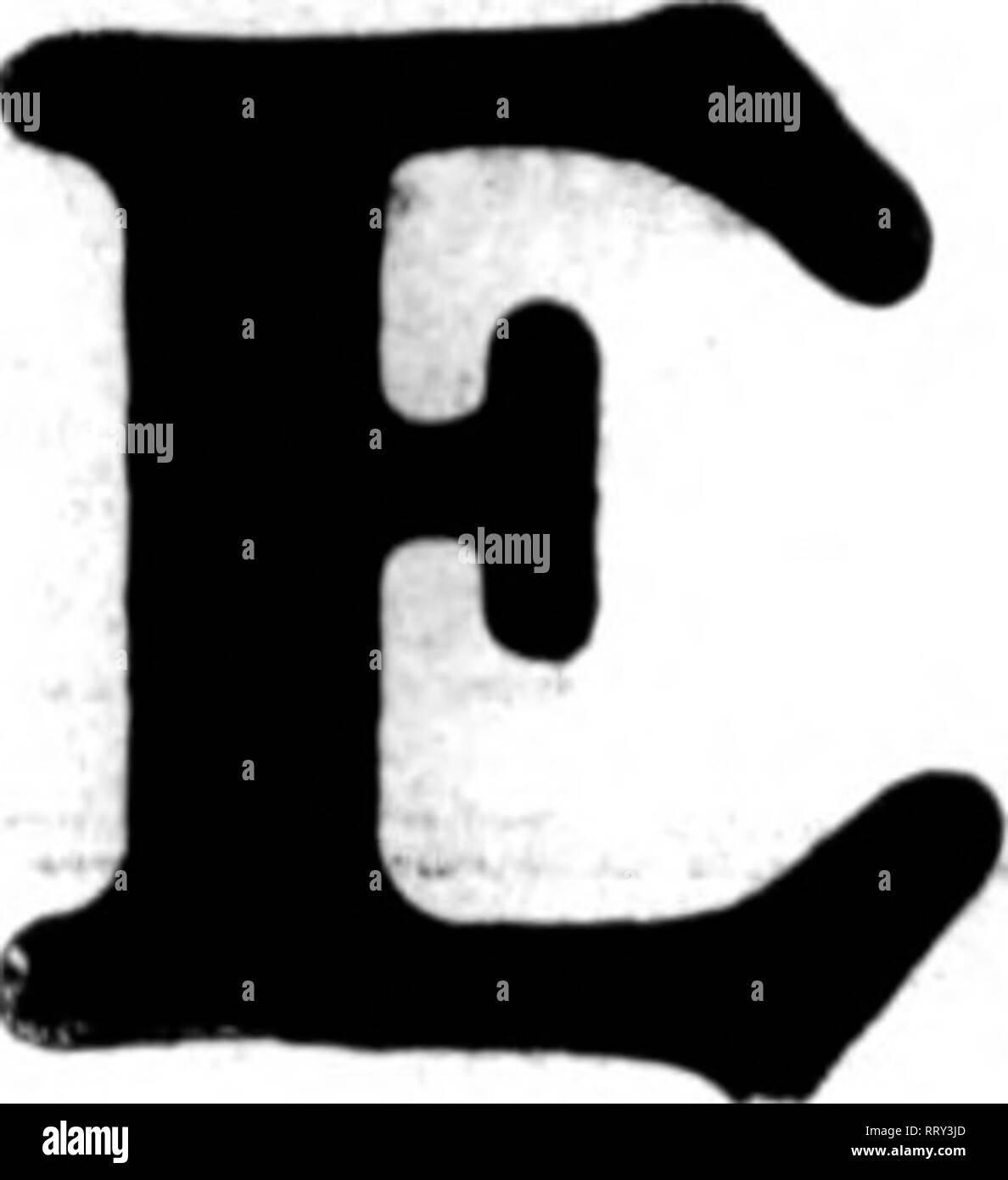 . Les fleuristes [microforme] examen. La floriculture. 15 août 1812. Les fleuristes d'examen de l'espace 55^ A-5 à la S. A. F. Convention "*" est juste à gauche du centre de la salle que vous entrez. . Il contiendra une pièce de qualité exceptionnelle le bien-connu Bnins* marché de Chicago marque le muguet c'est la vallée qui va se faire des amis à vous, si vous le fournissez à vos clients. Si vous voulez le voir, de plus en plus visiter mon greehhouses. H. N. Bruns, w ?iSi^le difo' !bon., Chicago mentionner l'examen lorsque vous écrivez. H. HUNT FLEURS COUPÉES EN GROS 131 N" WsbdSh AV6" L.D.Pho.eR"nd.lph CHIC4886 Banque D'Images