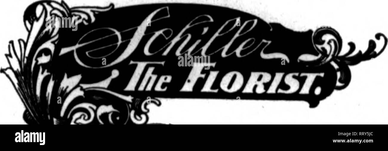 . Les fleuristes [microforme] examen. La floriculture. Boston, Massachusetts 143 Tremont Street l'établissement Lx&gt;ment Fleuriste Y"sapin iR. Recipredtf Nous civer tous les points à New En|lud envoyer vos (les hommes pour Chictgo et SNB- ?de rbi. 22iijS. « TTcnn carefuUy ^^ commandes St rempli d'aum ^^^^^ Q sous la supervision d'^HI cA^ ^^ GEORGE ASMUS, Mgr. Sur le fil, d'écrire, ou de l'Ouest Membre Flortsta 822 Téléphone' Telegraph Livraison Le Parc Floral Co. J. A. VALENTINE. PreB. Les fleuristes membre Dellyery Telegraph. DENVER, COLORADO Ernst Wienhoeber Co. n°2S E. Elm Street Chicago, IL.L.. Les États les fleuristes livraison un télégraphe Banque D'Images