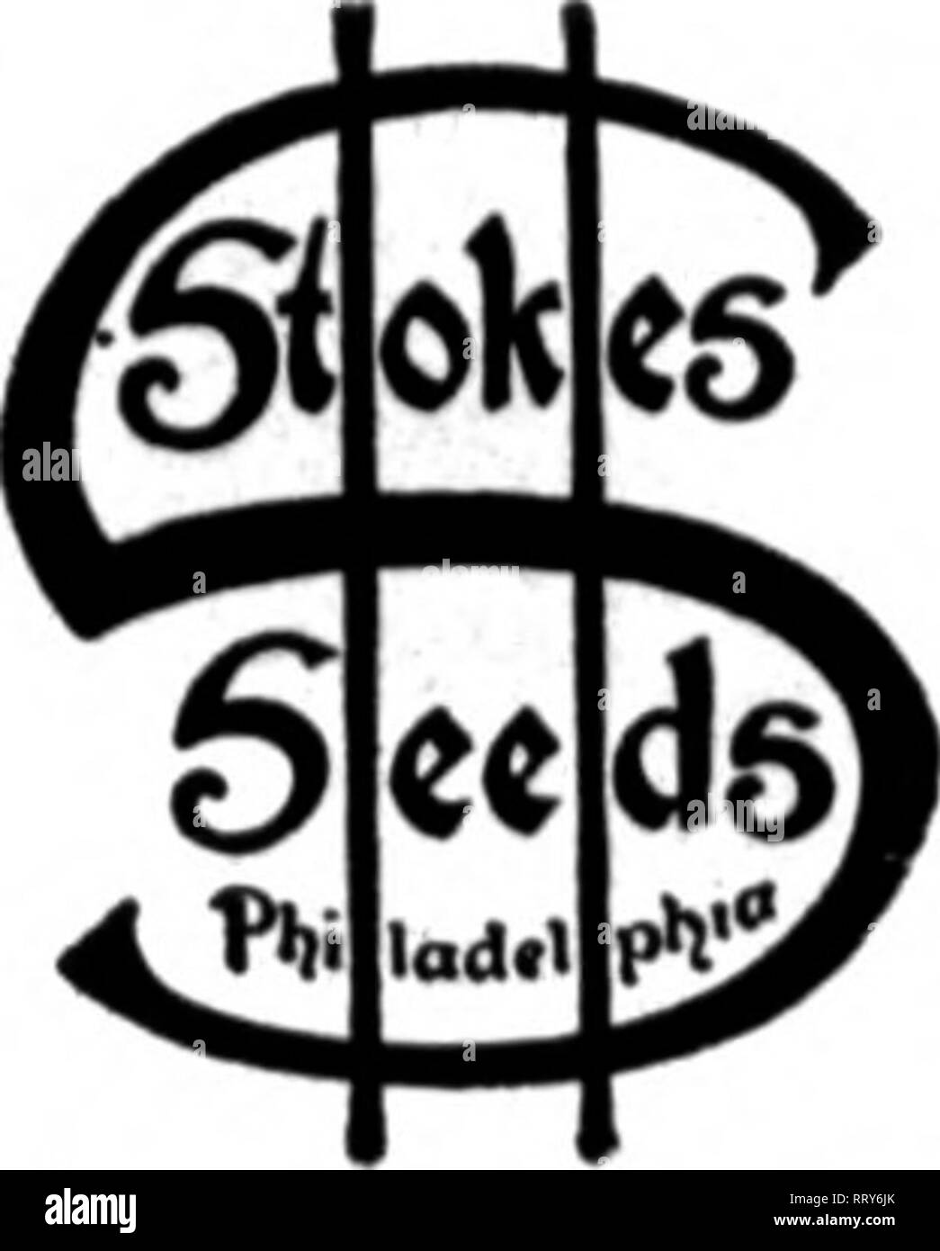 . Les fleuristes [microforme] examen. La floriculture. Touffes de rhubarbe par douzaine 1,75 $ par 100 lO.(X) SELEOTED TVTHTVTTVVOTH KSPHRHGUS3 racine à partir d'un spécialiste reconnu, va forcer dans quatre semaines, le^plus tendres et délicieuses asperges. Peut être forcé en serre les bancs ou dans les caves. Les clients étaient ravis de leur succès dernière raison, et doublent leur commandes. Racines 250 sera eold au taux de 1000. Pour bien spéciale sera accordée sur une grande superficie. Écrire pour notre liste de gros pour les fleuristes et les jardiniers. Vient de paraître. JOHNSON SEED COMPANY, 217 Market Street, Philadelphie, PA. J ment Banque D'Images