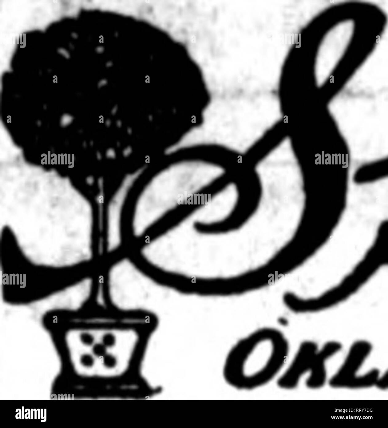 . Les fleuristes [microforme] examen. La floriculture. Wm. L Rock Flower Co..^ ^- KANSAS CITY, MO. Mcalcfs riNists 1116 Walnut Street" Ddimy^Td raph examinera soigneusement exécuter des ordres pour Kansas City n'importe quelle ville dans le Missouri ou Kansas.. S Omlauqma OifLJi Ville, les fleuristes Membres Telegraph Dellrery. Nouveau TOBK. Le marché. Au printemps dernier, et merveilleusement wel- venir à l'plantsmen- navire qui sont l'exécution de la commande ping et dans la ville. La semaine dernière était une sourde un dans le marché de la fleur coupée. Il y avait une abondance de tout et beaucoup d'un sacrifice était fait jusqu'à samedi, lorsque les premiers signes d'amélioration apparaissent. American Banque D'Images