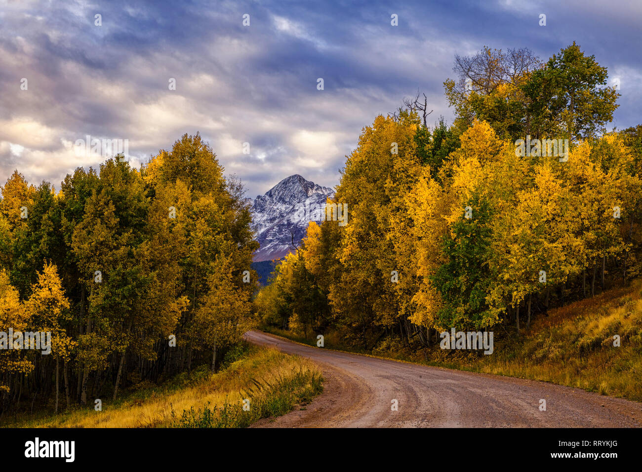 Route de campagne à distance dans le Colorado. Banque D'Images