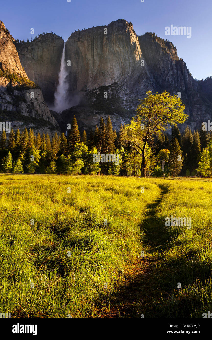 Chemin d'accès à la région de Yosemite Falls Banque D'Images