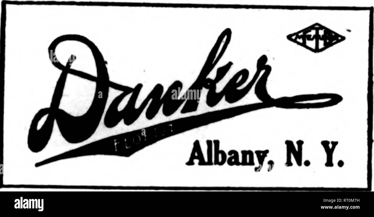 . Les fleuristes [microforme] examen. La floriculture. ^ » BUFFALO Flower Shop Colonial 219 Delaware Avenue. Membre de la f.t.d. JE S. A. ANDERSON 440 Main St., Buffalo, N.Y. Anderson service signifie frais, des livraisons rapides et robustes à Buffalo, Lockport, Nisigara li'alls et l'ouest de New York. Membre de la Telegraph pour fleuristes livraison. BUFFALO L. H. NEUBECK HAUT ET PRINCIPAL STS. Les États les fleuristes Fleuriste Livraison Télégraphe Scott Tie OP MEMBRE DE LA F. T. D. BOFFAie. HEW YORK F, T. D. ^^ 379 E serres principal R"ff-lrt M V L'Attique. N. Y. Street. DUnaiO, j&gt;l. I. W. &AMP ; T. CASS Genève, N.Y. Telegrap Banque D'Images