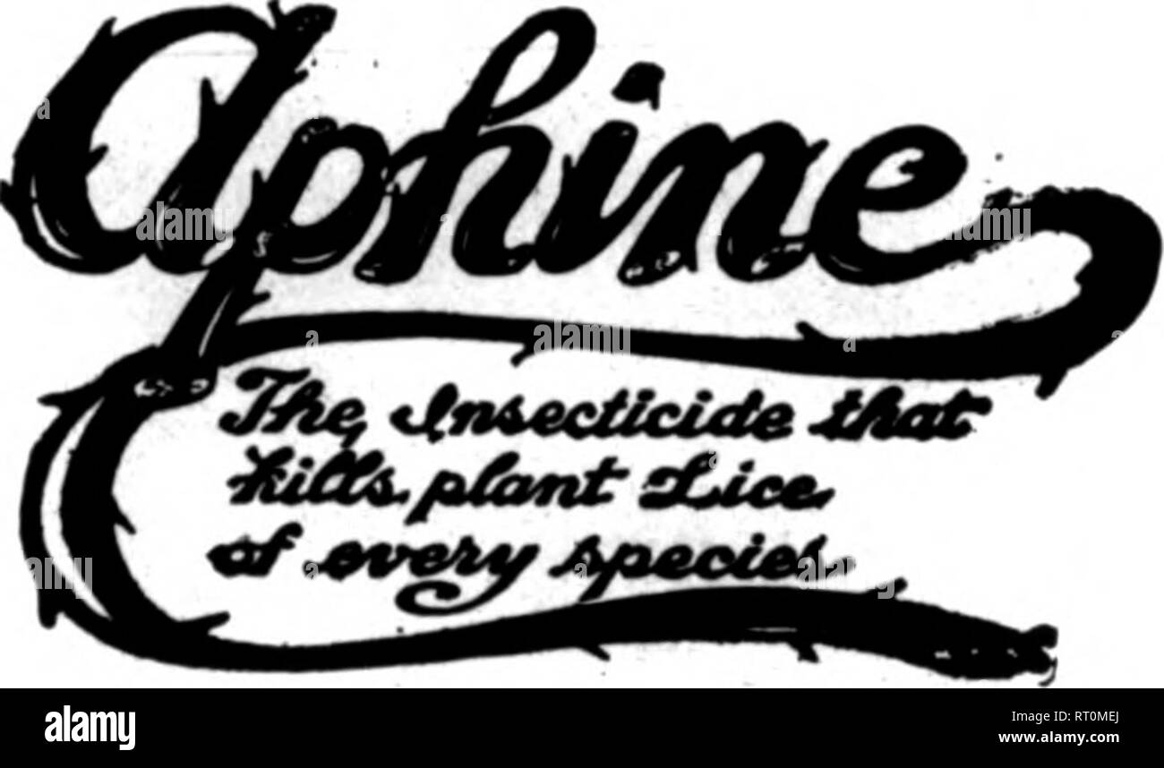 . Les fleuristes [microforme] examen. La floriculture. ^^1(4 PAS Oaaranteed POISON en vertu de la Loi sur les insecticides, 1910 N° de série 321 Enregistrez vos plantes et arbres. Ici est un insecti- cide qui va détruire tous les insectes-positive de cochenille, brun et blanc Échelle, thrips, araignée rouge, vert sombre et Fly, mites, fourmis, etc., sans injun^ aux plantes et sans odeur est utilisé conformément au mode d'emploi notre Insecticide standard empêchera les ravages sur vos cultures par les insectes. Non toxique et sans danger pour l'utilisateur et de l'usine. Les semenciers de premier plan et des fleuristes ont utilisé avec splendide&gt ; resu'ts. Détruit les poux dans les poulaillers, Banque D'Images