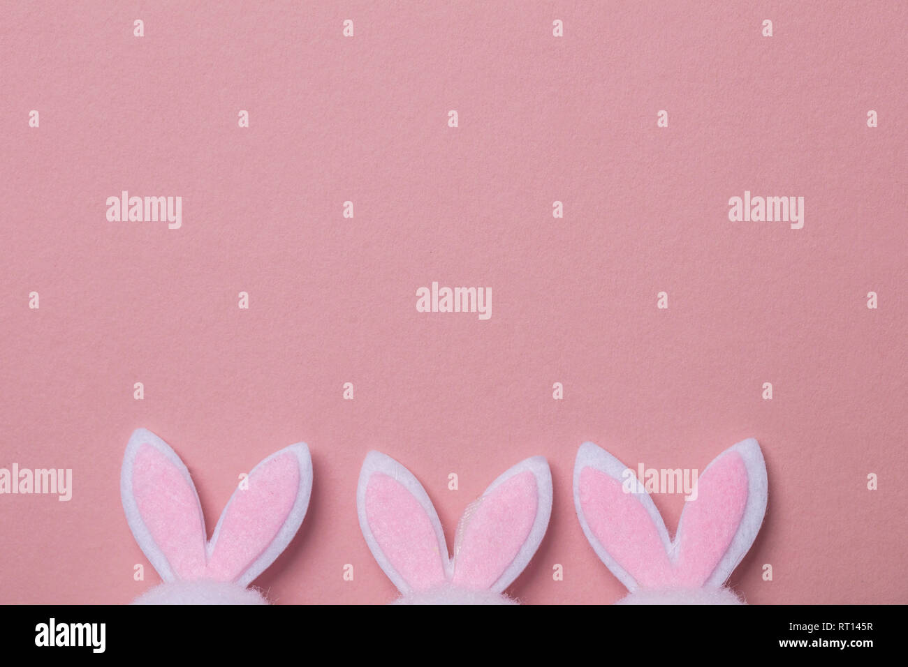 Oreilles de lapin sur un fond rose pastel Banque D'Images