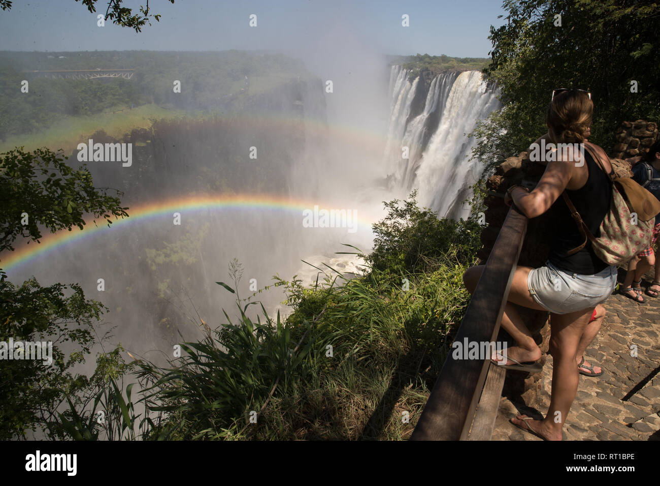 Lusaka. Feb 25, 2019. Les touristes visiter les chutes Victoria, à la frontière du Zimbabwe et de la Zambie, le 25 février 2019. Les Chutes Victoria a atteint sa pleine saison pour le tourisme. Credit : Peng Lijun/Xinhua/Alamy Live News Banque D'Images