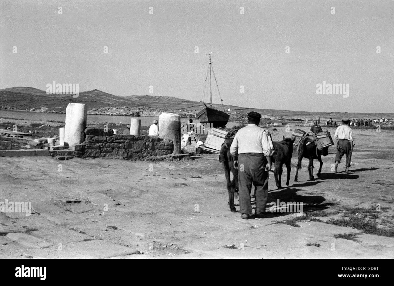 France, Grèce - Bauern gehen mit ihren Eseln zum Hafen von Delos, Griechenland, 1950er Jahre. Les agriculteurs se promener avec leurs ânes pour le port de Délos, en Grèce, en 1950. Banque D'Images