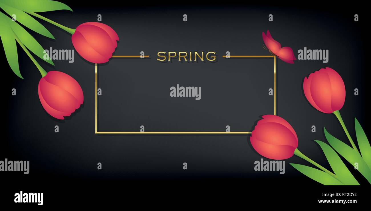 La conception du ressort carte noire avec des tulipes et papillon vector illustration EPS10 Illustration de Vecteur