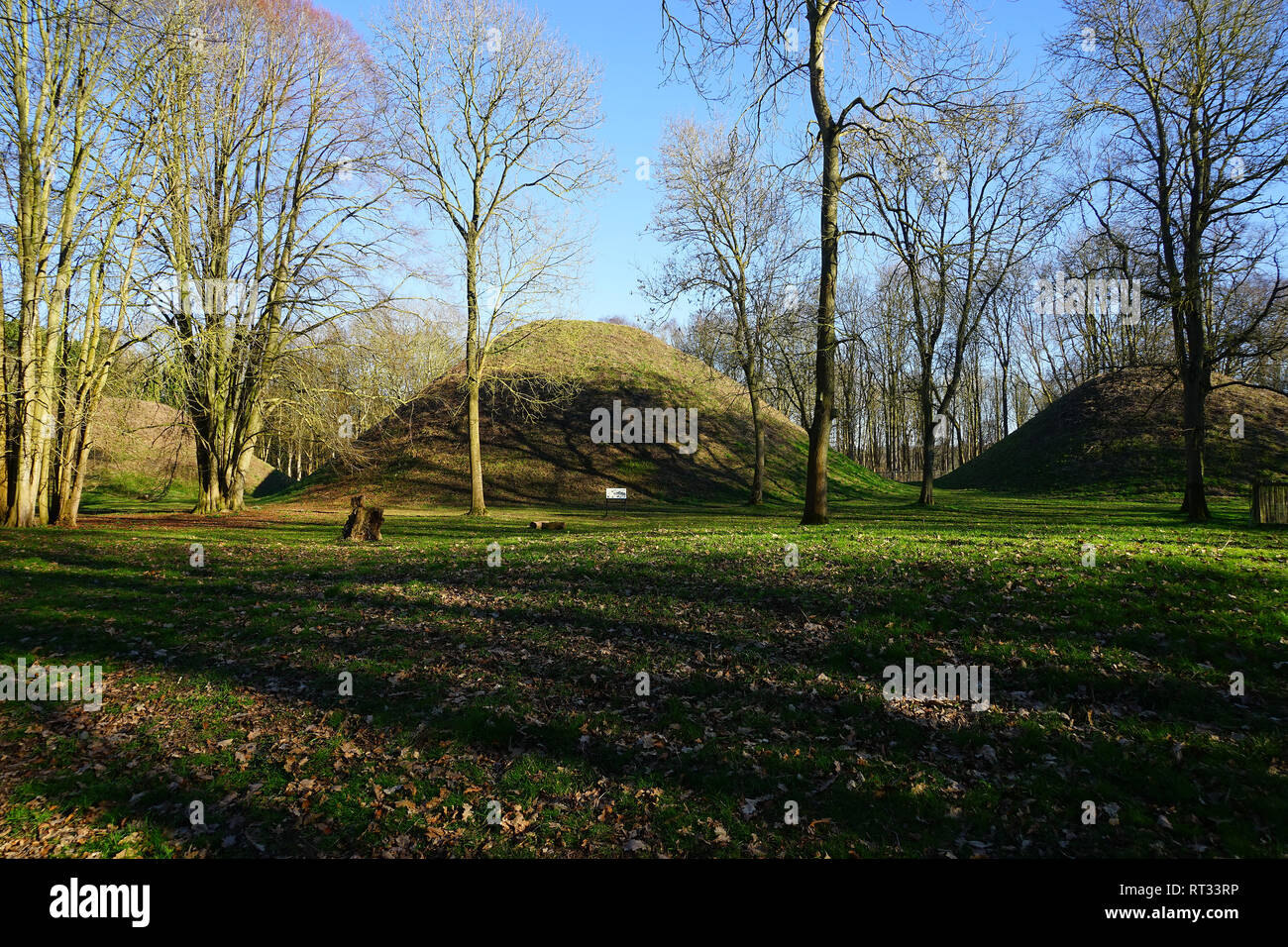 Collines exploitation Bartlow Burial Mounds Banque D'Images