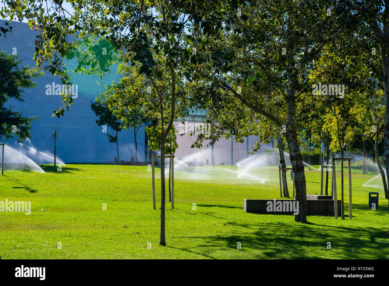 Arrosage sprinkleur dans le jardin ou parc de la ville. Banque D'Images