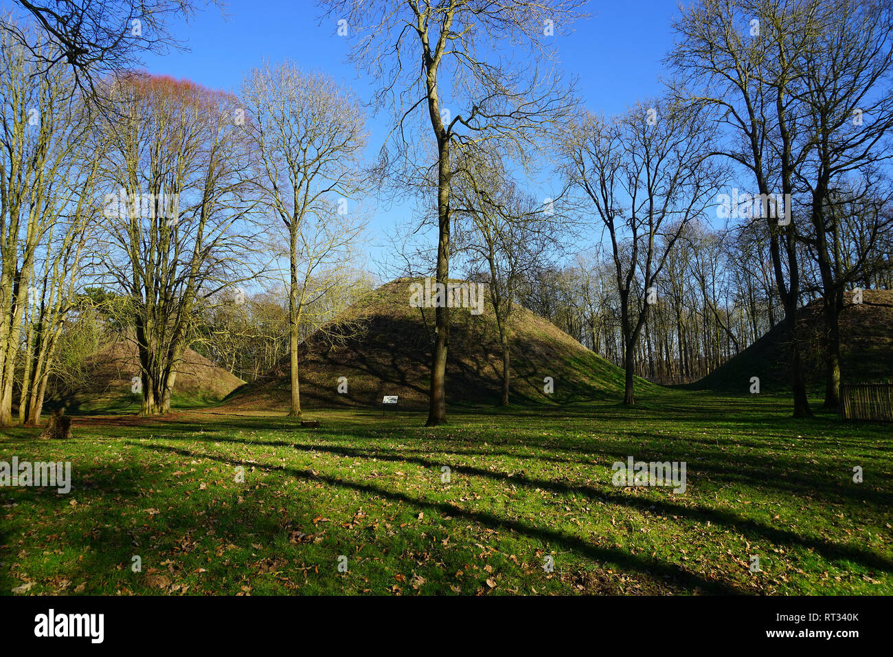 Collines exploitation Bartlow Burial Mounds Banque D'Images