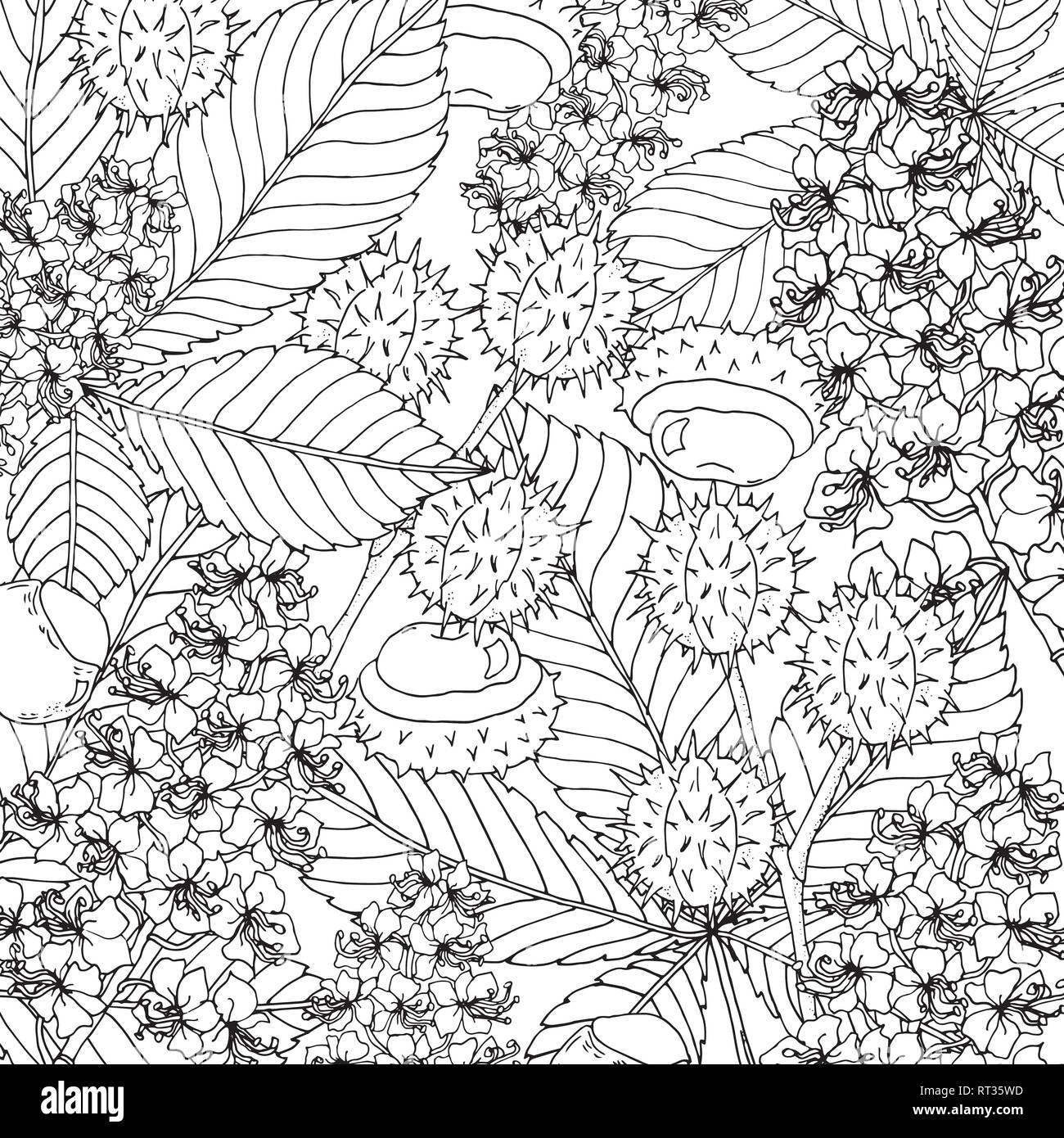 Contexte en châtaignier floral doodle avec vecteur doodles coloriage noir et blanc Illustration de Vecteur
