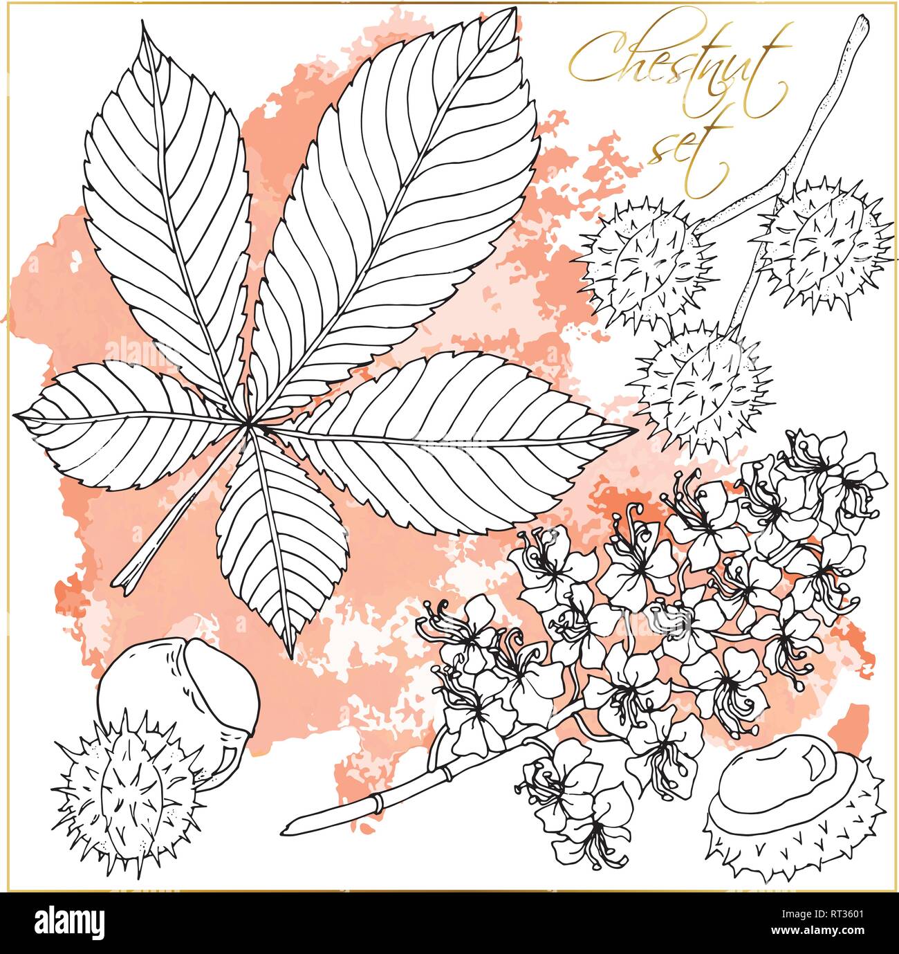 Doodle marron floral avec vecteur doodles coloriage noir et blanc Illustration de Vecteur