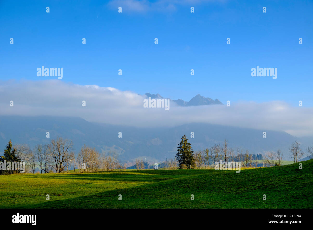 Allemagne, Bavière, souabe, Oberallgaeu, vue de l'Allgaeu Hautes Alpes près de Fischen, Hoernerdoerfer Banque D'Images