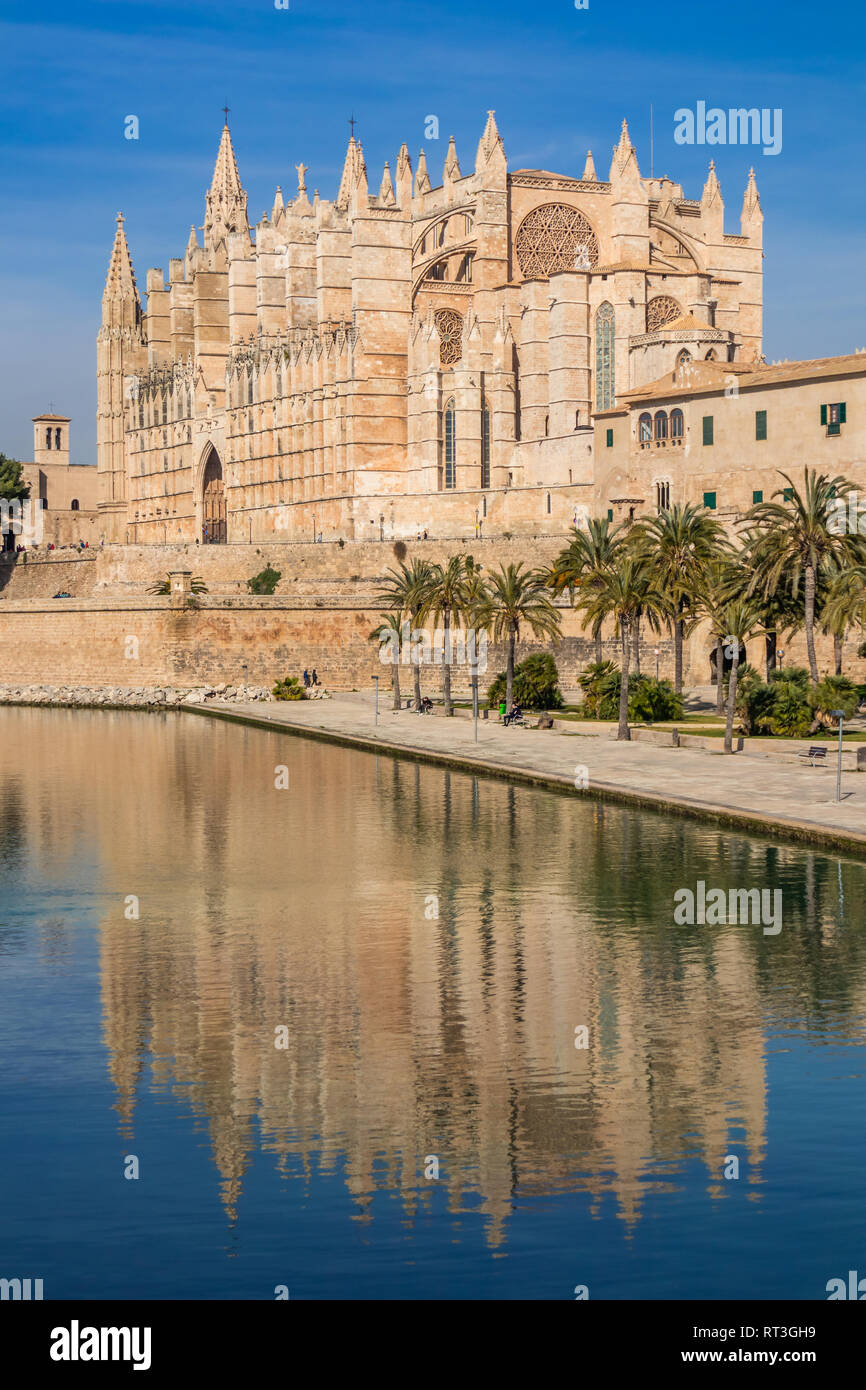 La Seu, la cathédrale de Palma Palma de Mallorca, Majorque, Îles Baléares, Espagne Banque D'Images