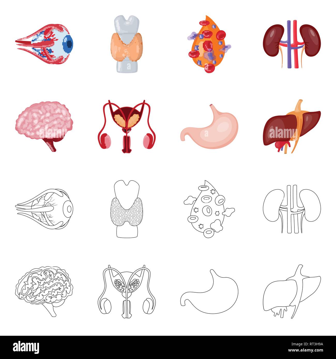 Globe oculaire,,dorsale,sang,rein,cerveau estomac foie,urinaire,,eye,plasma,spinal,esprit,system,tube,cornée,os,cell,renseignement,haricots,excrétrice,corps gastrique,muscle,couches,couvrir,transplant,science,vessie,la douleur,la biologie,structure,scientifique,recherche,de,laboratoire d'organes internes,anatomie,médical,des,santé,,set,icône,,illustration,collection,isolé,design,graphisme,élément vecteur vecteurs,signer , Illustration de Vecteur