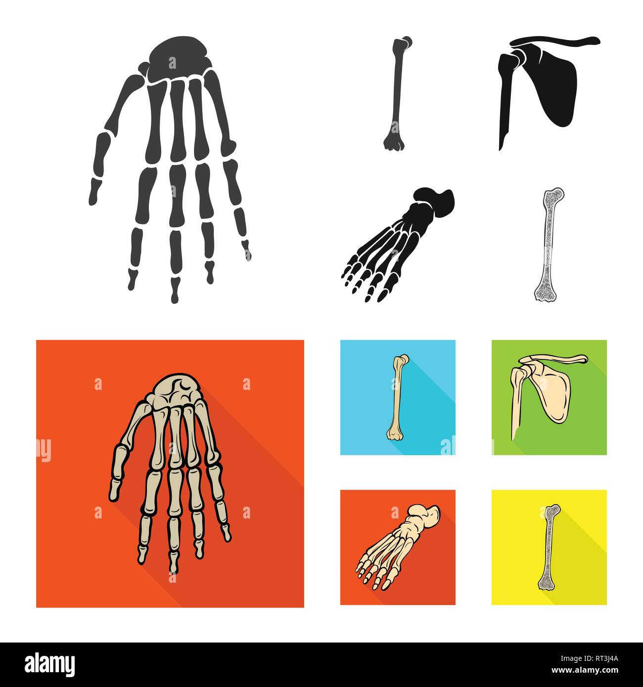 Fémur,poignet,foot,hand,casse,bassin,cheville,calcium osseux,péroné,hip,sain,jambe,ossature,shin,,pelvien,podologie,genou tibia,bras,l'avant-pied,carpe fracture,DE,panneaux,chirurgie,santé,les pieds plats,linstallation,xray,la douleur,la médecine,mouvement,biologie,clinique,medical,squelette anatomie osseuse,,des,organes,,set,icône,,illustration,collection,isolé,design,graphisme,élément vecteur vecteurs,signer , Illustration de Vecteur