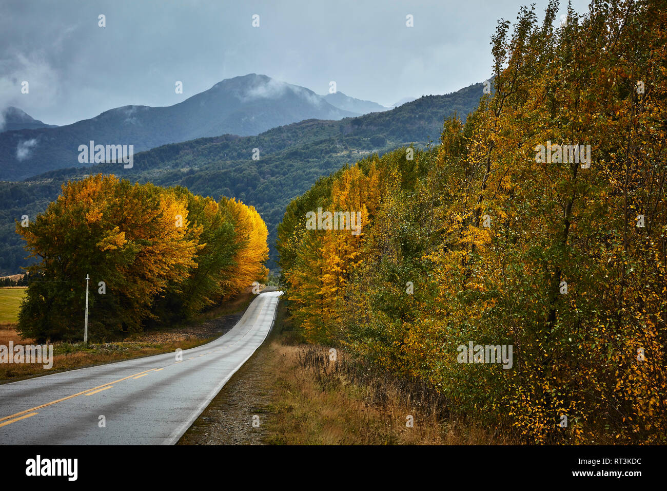 Le Chili, Puerto Aysen, country road in autumn Banque D'Images