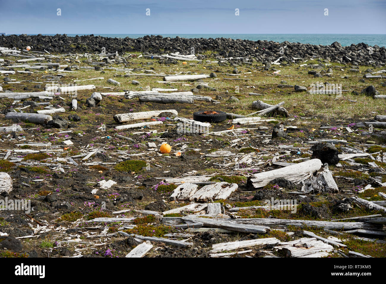 Drifwood et ordures, Reykjanes Peninsula, Iceland Banque D'Images