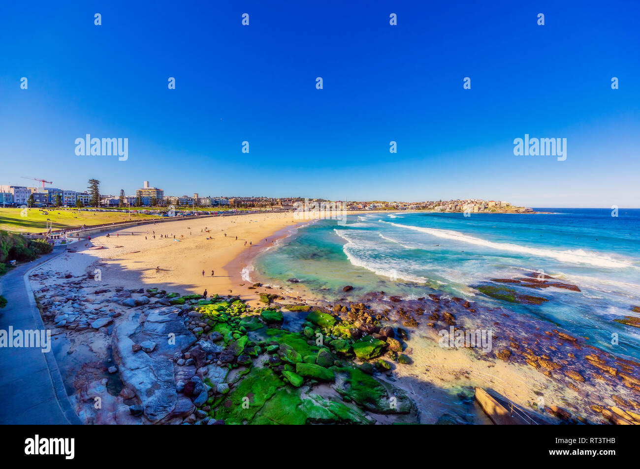 L'Australie, New South Wales, Sydney, Bondi Beach Banque D'Images