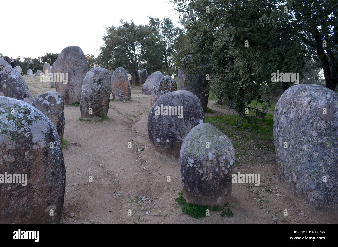6e millénaire avant J.-C. Almendres Cromlech, un complexe mégalithique près d'Evora dans le sud du Portugal Banque D'Images