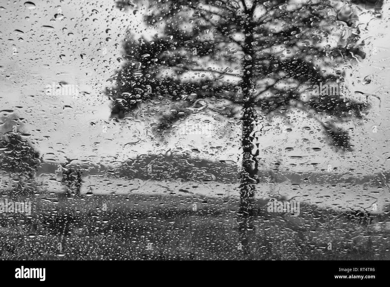 Gouttes d'eau sur une vitre. Banque D'Images