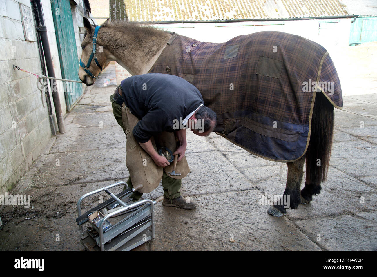 Le Sussex. South Downs. Poynings. Chaussures un maréchal-ferrant un cheval. Banque D'Images