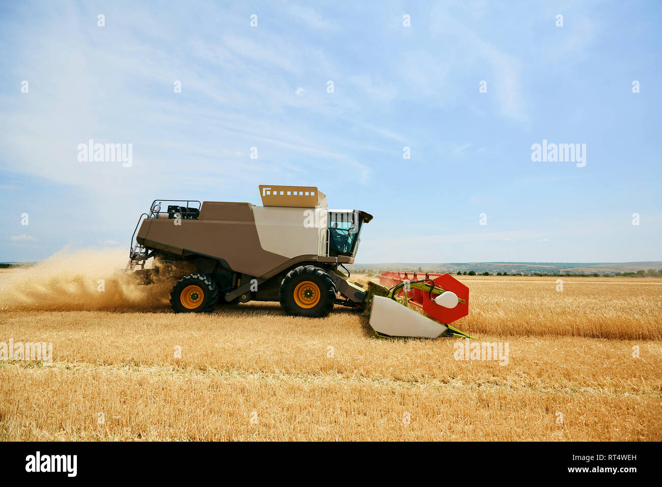 L'ensileuse agricole travaillant dans un champ de blé Banque D'Images