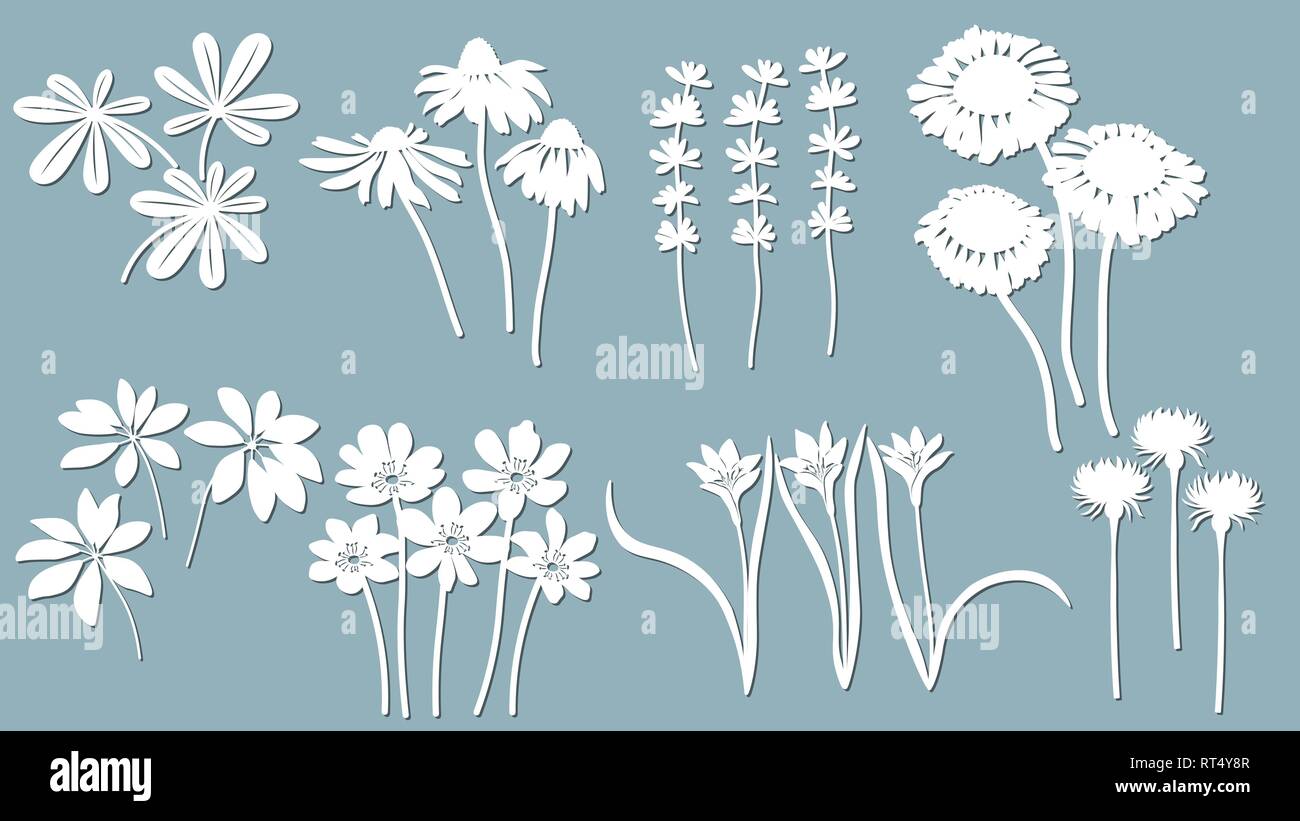 L'échinacée, camomille, schefler, noble hepatica, zephyrantes, stokesia. Vector illustration. Ensemble de fleur en papier, autocollants. Coupée au laser. Modèle de Illustration de Vecteur