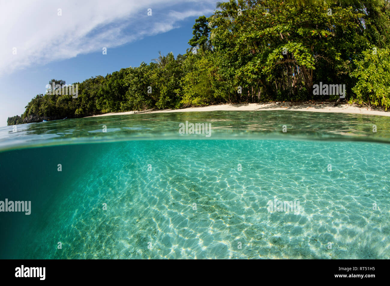Clair, de l'eau chaude baigne une plage sur une île de Raja Ampat, en Indonésie. Banque D'Images Clair, de l'eau chaude baigne une plage sur une île de Raja Ampat, en Indonésie. Banque D'Images