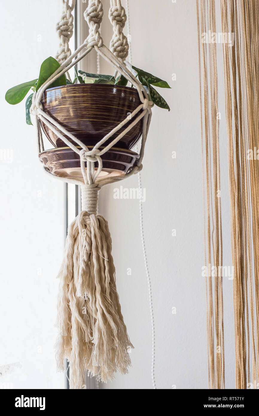 Macrame planteurs de coton blanc corde avec une plante dans un pot en céramique suspendu par la fenêtre Banque D'Images
