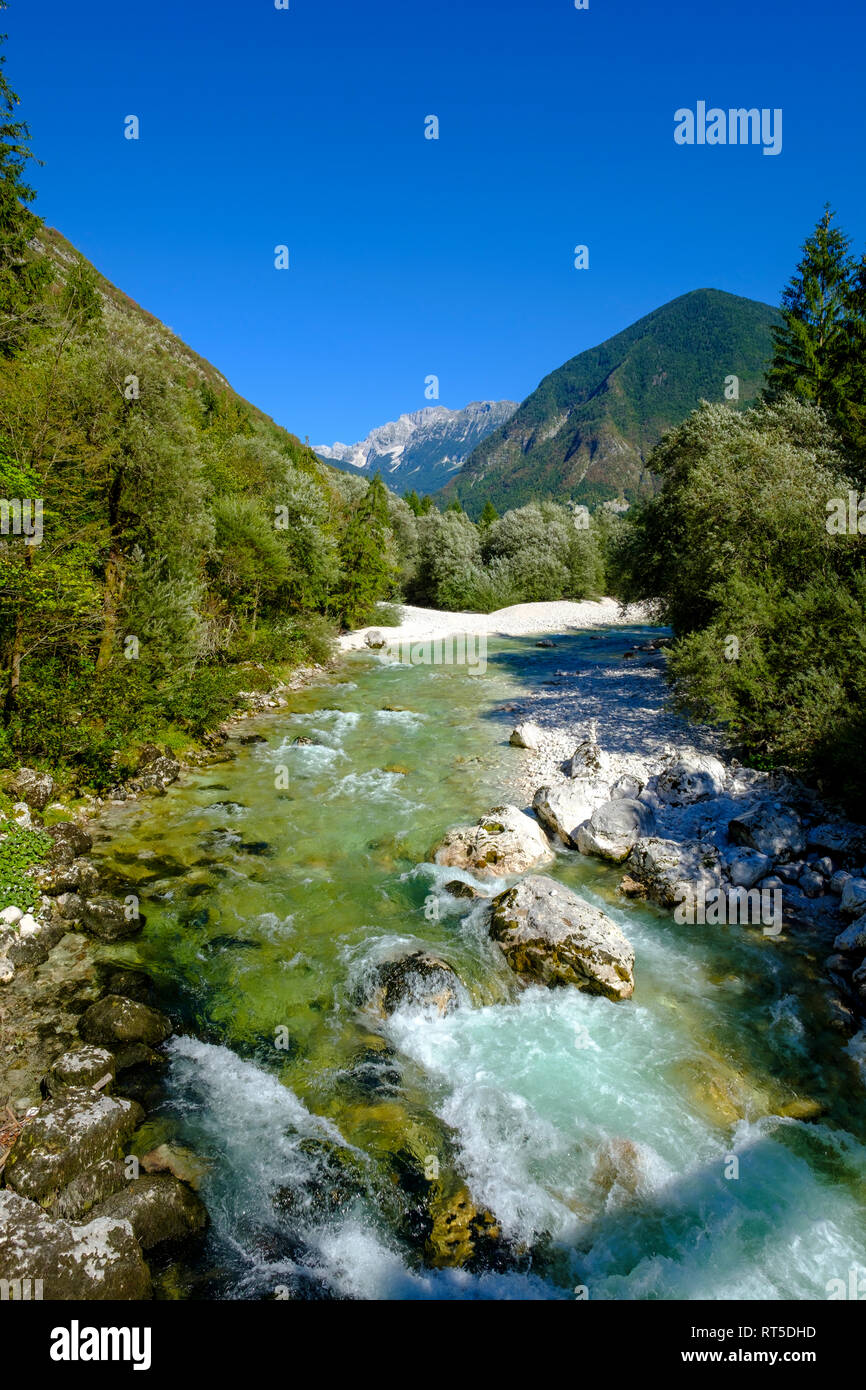 La Slovénie, la vallée de la soca, près de la rivière Soca, Trenta, parc national du Triglav Banque D'Images