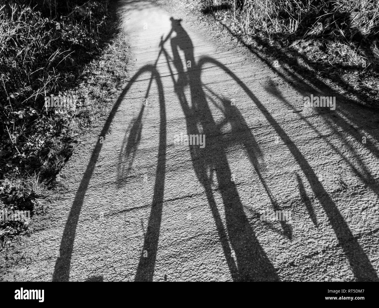 De longues ombres portrait selfies prises sur un vélo Banque D'Images