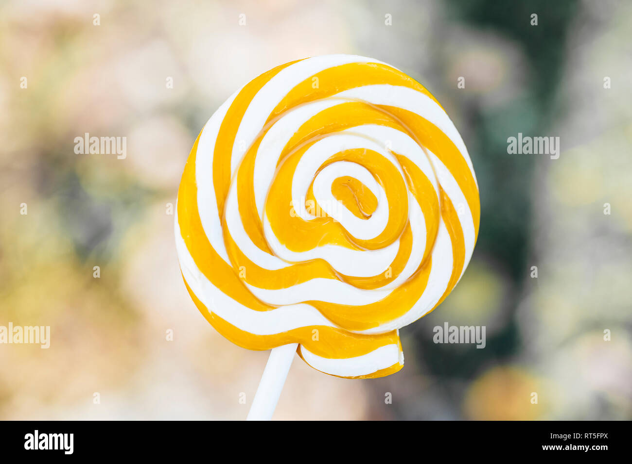 Jaune blanc sucette, close-up Banque D'Images