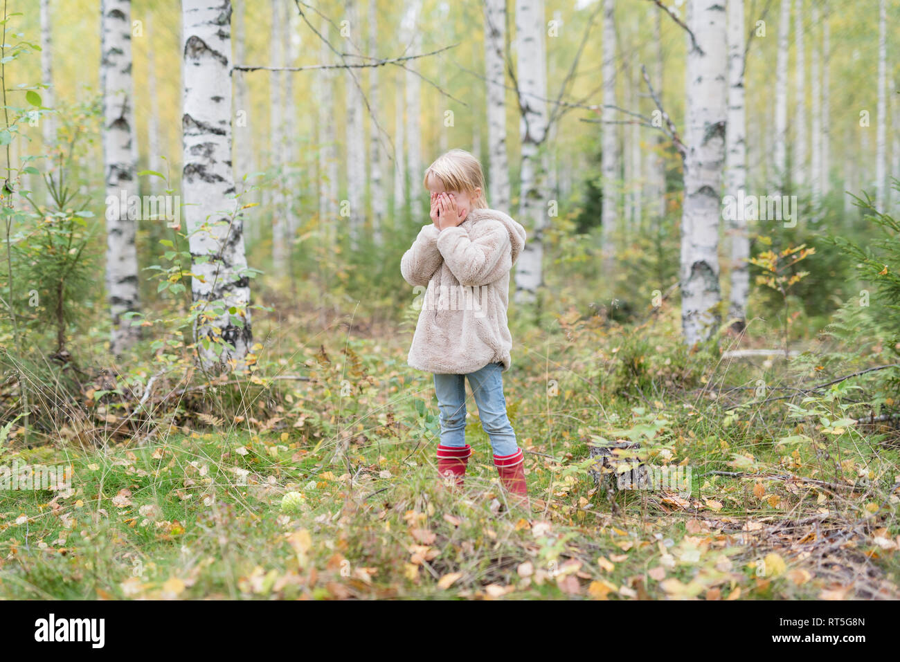 Fille blonde joue à cache-cache dans une forêt de bouleaux Banque D'Images