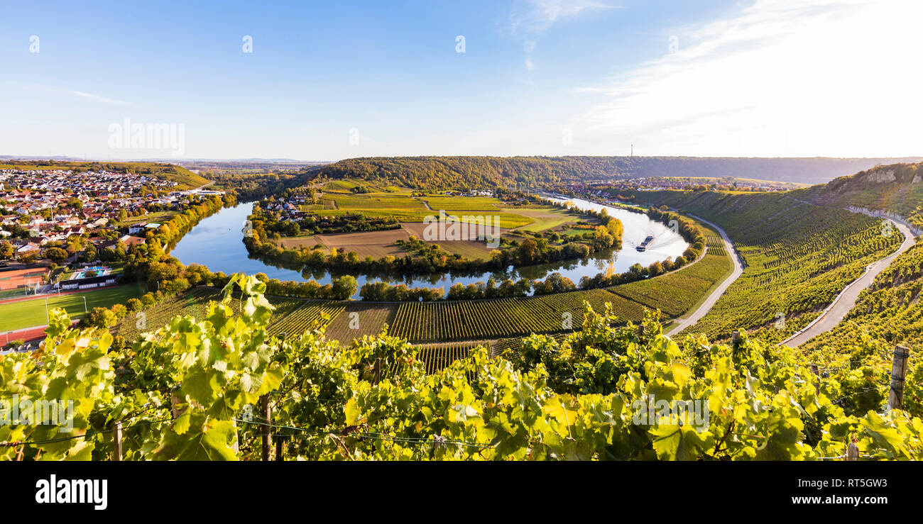 Allemagne, Bade-Wurtemberg, Mundelsheim, boucle Neckar et les vignobles Banque D'Images