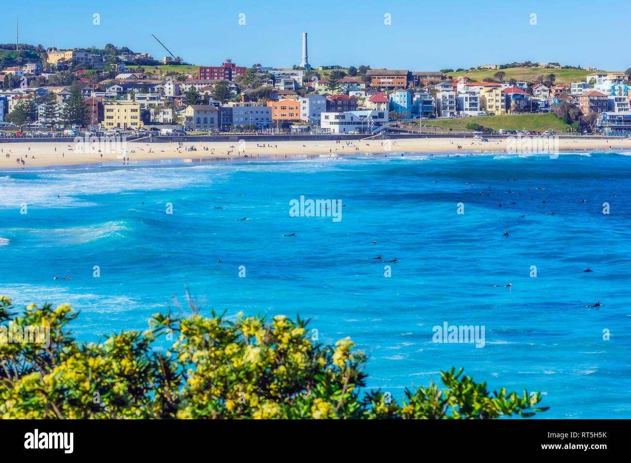 L'Australie, New South Wales, Sydney, Bondi Beach Banque D'Images