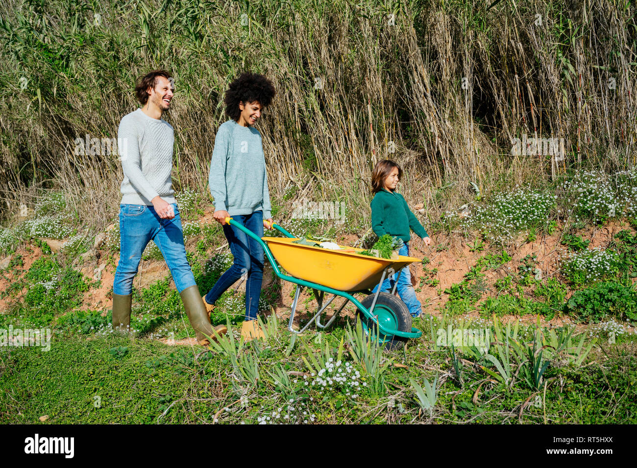 Balades en famille sur un chemin de terre, pushing wheelbarrow Banque D'Images