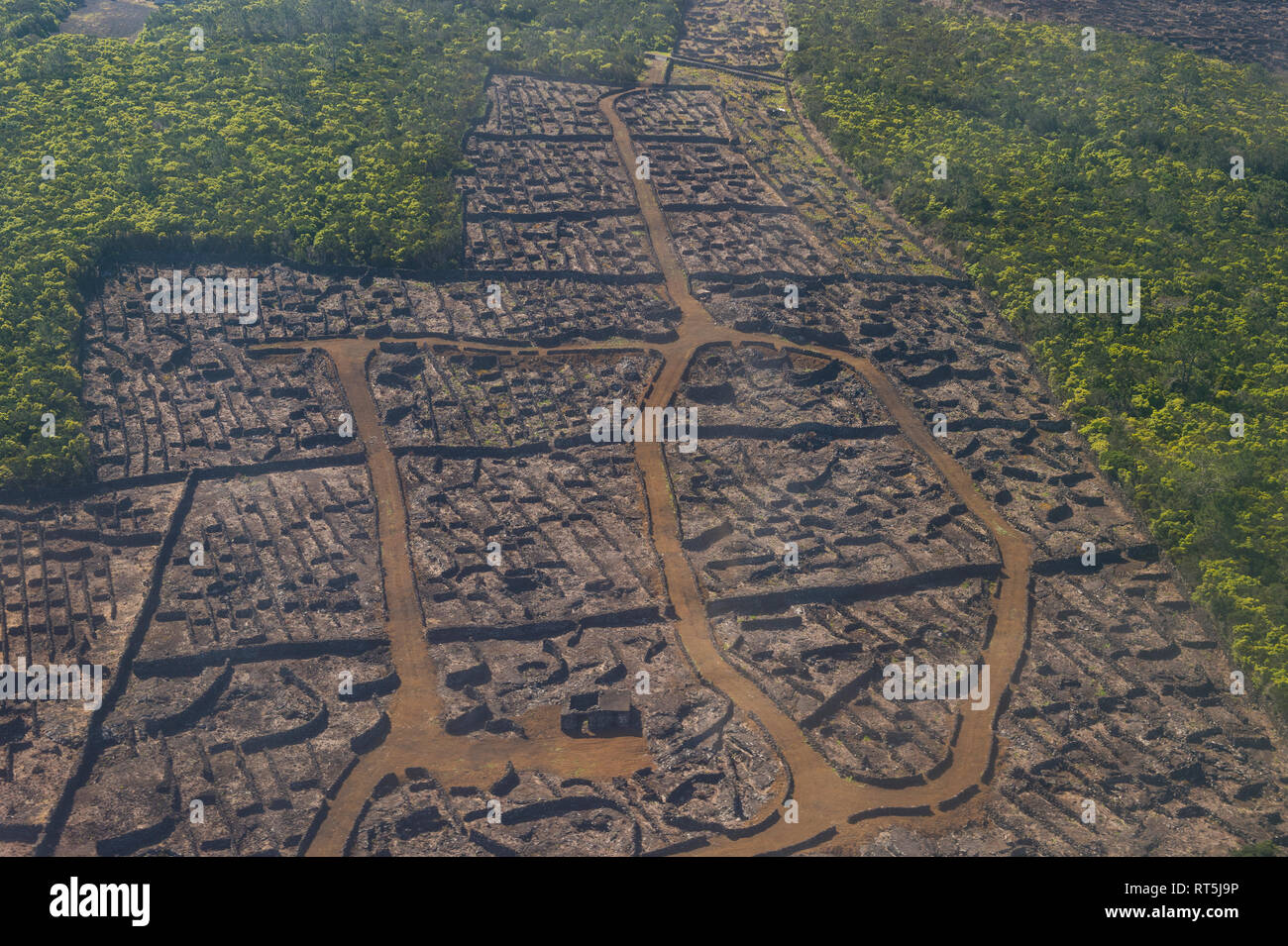 Portugal, Azores, île de Pico, vue aérienne d'anciennes vignes, paysage de l'île de Pico de la culture du vignoble Banque D'Images